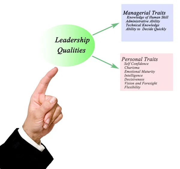 Diyagram liderlik nitelikleri — Stok fotoğraf